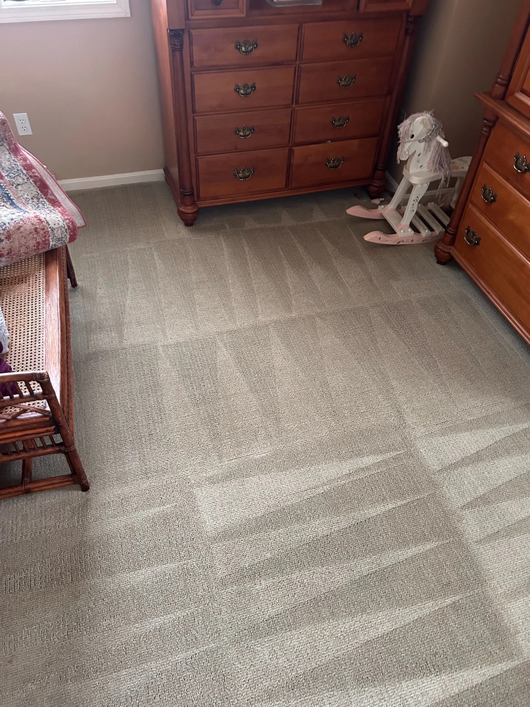 Freshly steam cleaned bedroom carpet with clean extraction lines